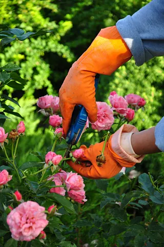 Jardineria Pedraza limpieza de comunidades