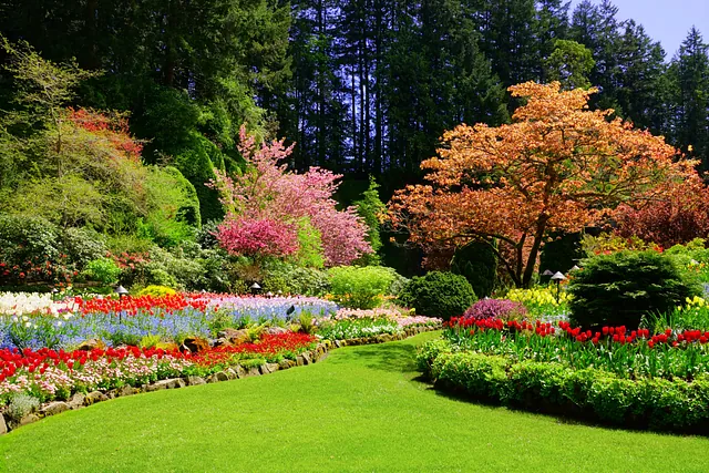 Jardineria Pedraza Servicio de jardinería