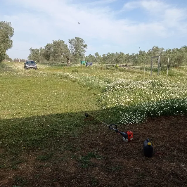 Jardineria Pedraza Jardinería