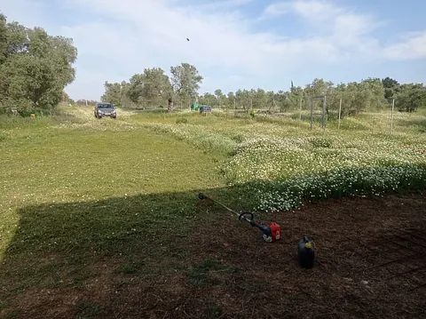 Jardineria Pedraza zona verde