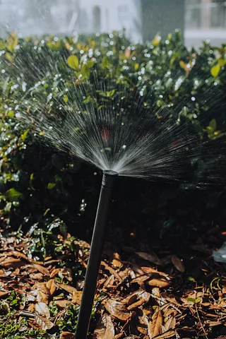 Jardineria Pedraza limpieza de vivienda